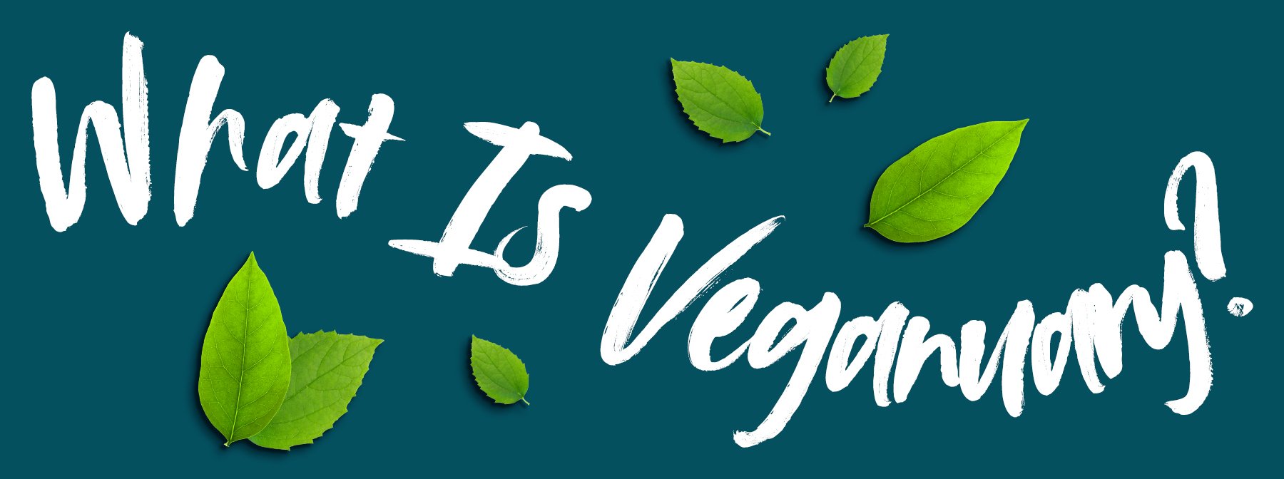 What is Veganuary? | Guide to Veganuary 2021 with Myvegan