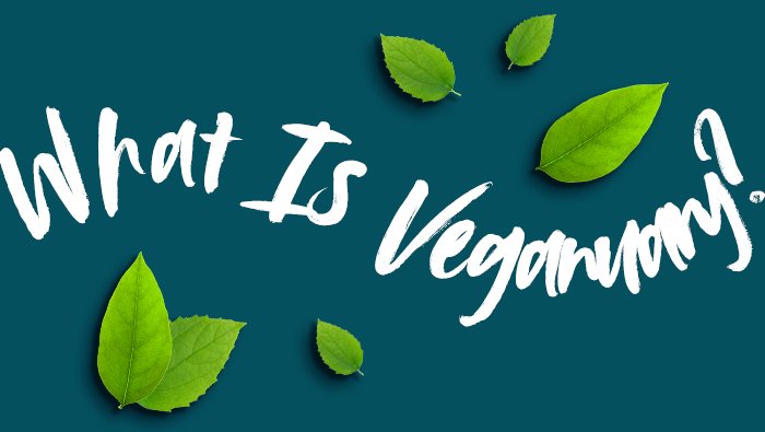 What is Veganuary