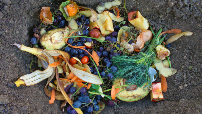 How to reduce food waste | Myvegan