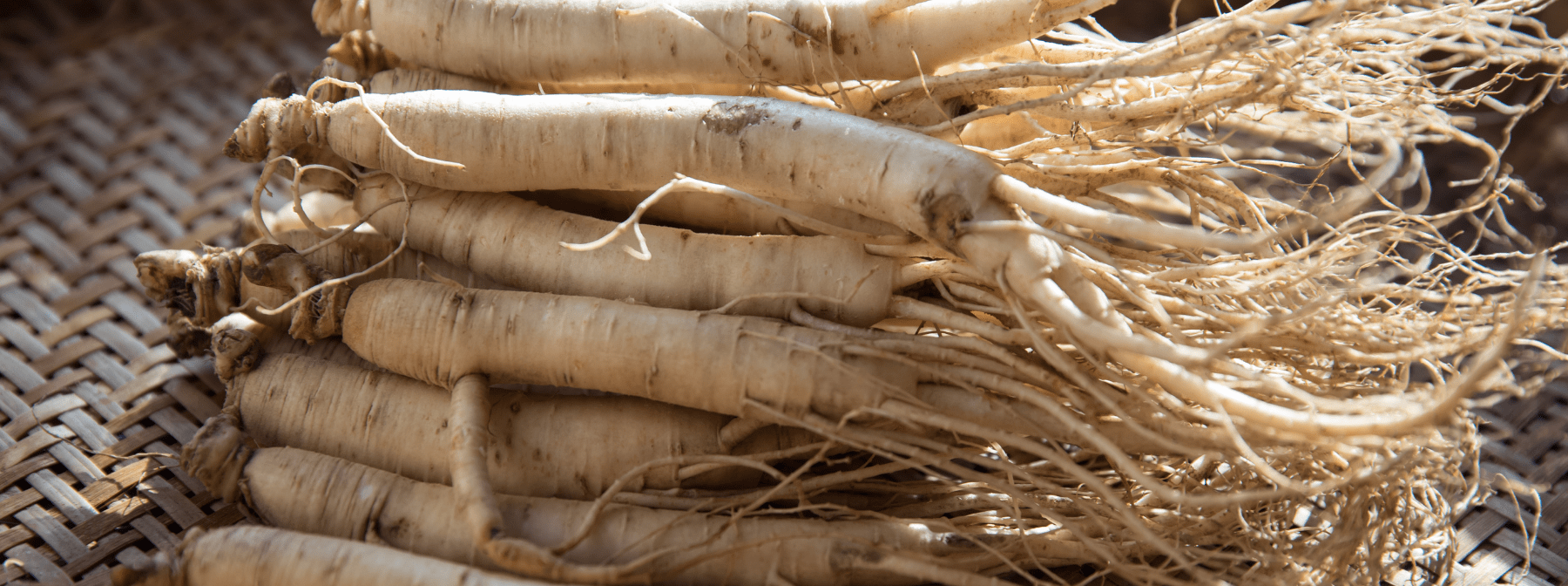 Panax Ginseng | What Are The Benefits?