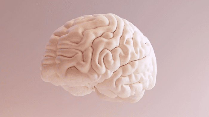 4 ways to support brain health