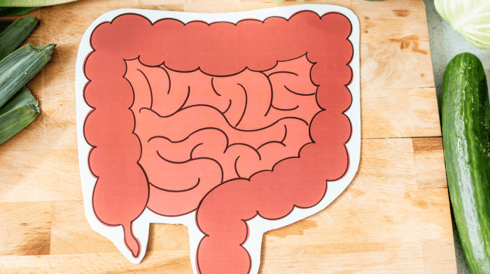 Your One-Stop Guide To Good Gut Health & Wellness