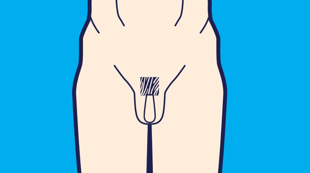 How to braid pubic hair