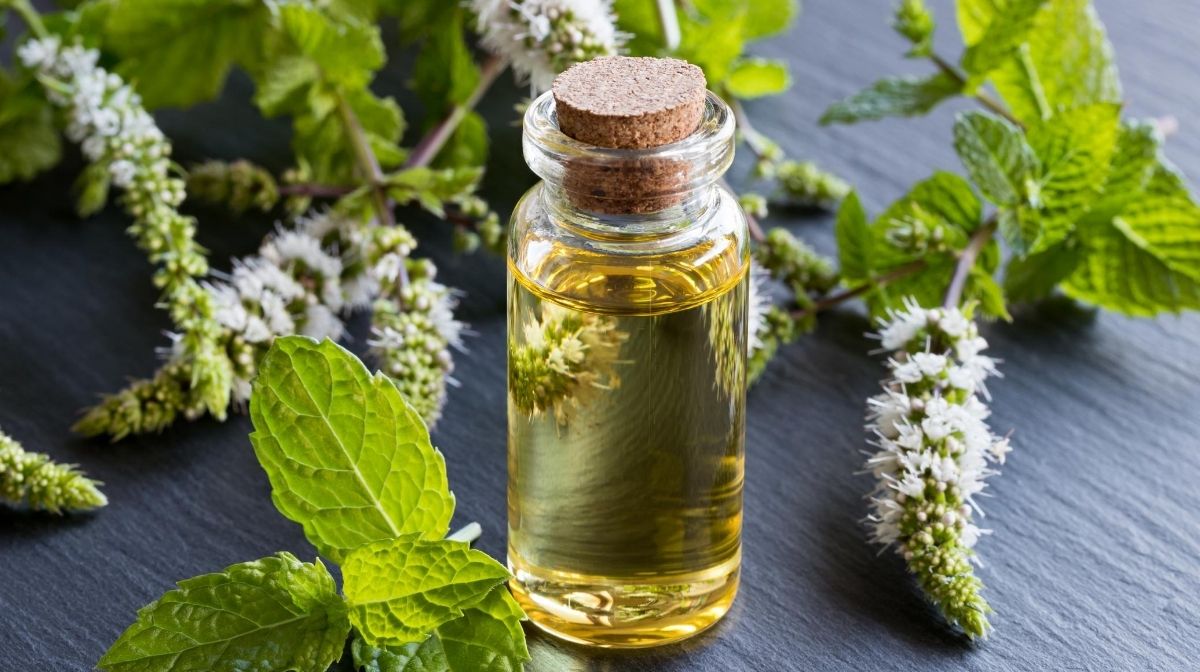 parfum