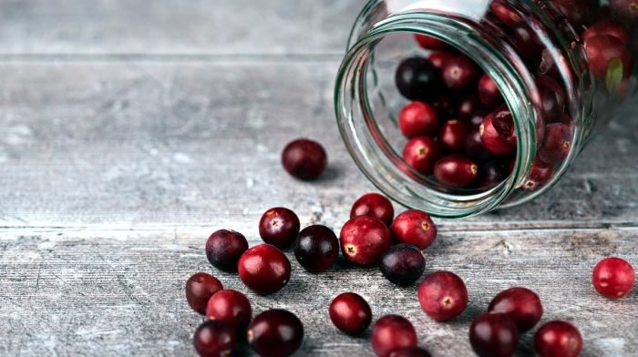 Zijn cranberries goed voor de nieren?