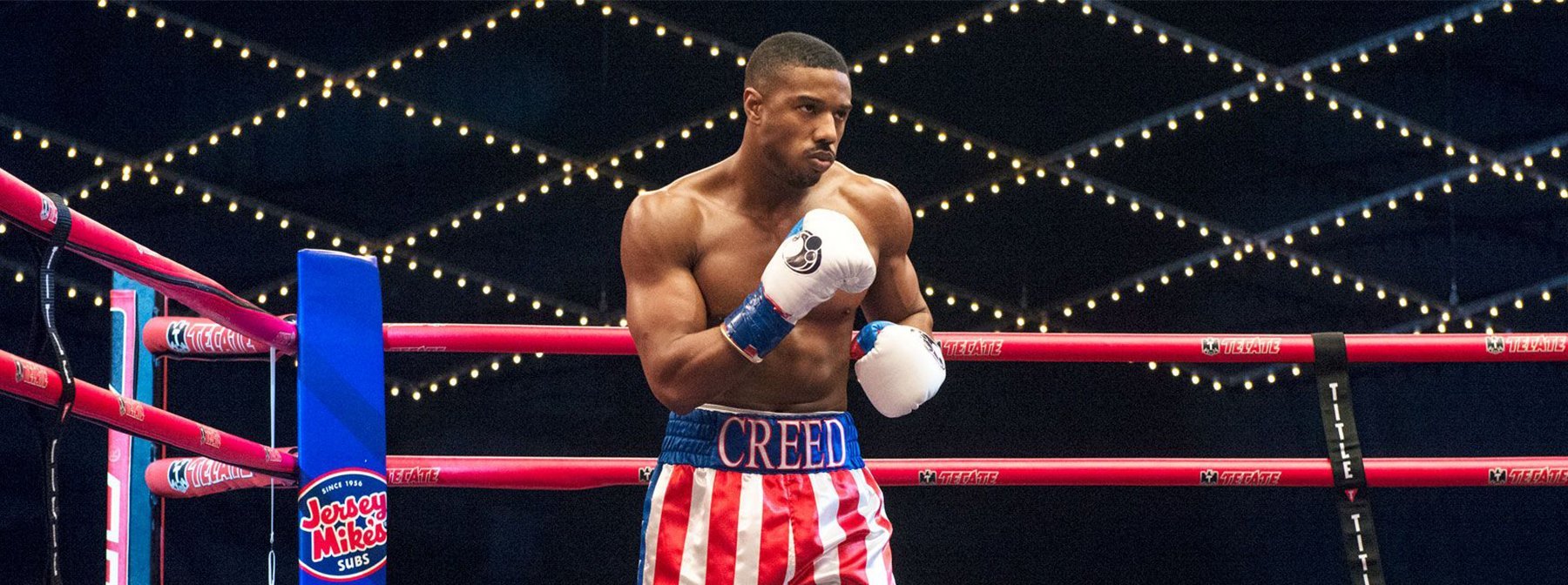 Creed 3 Is Moving Forward As New Writer Is Hired