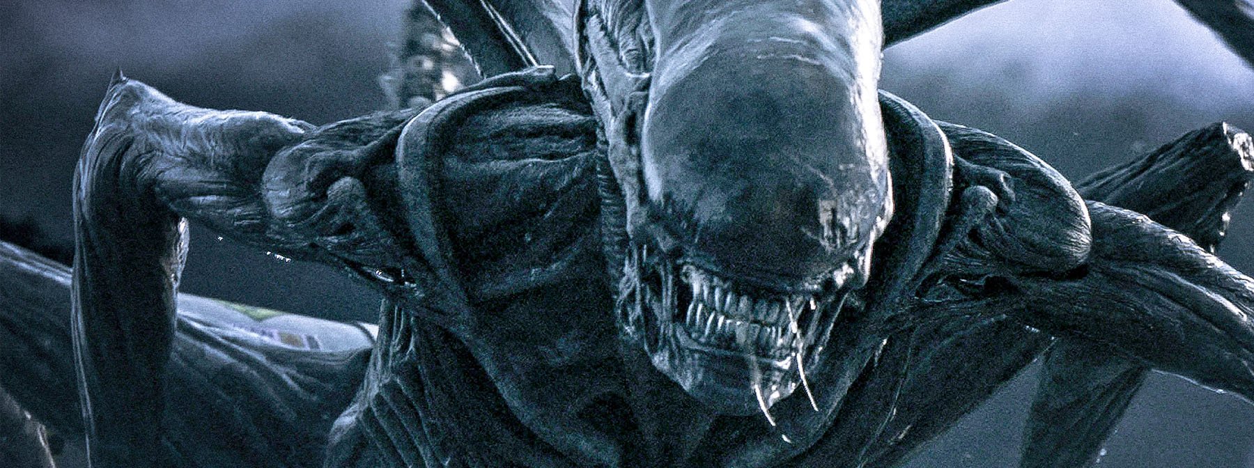 Alien: Covenant – Where Are We At With The Planned Sequel