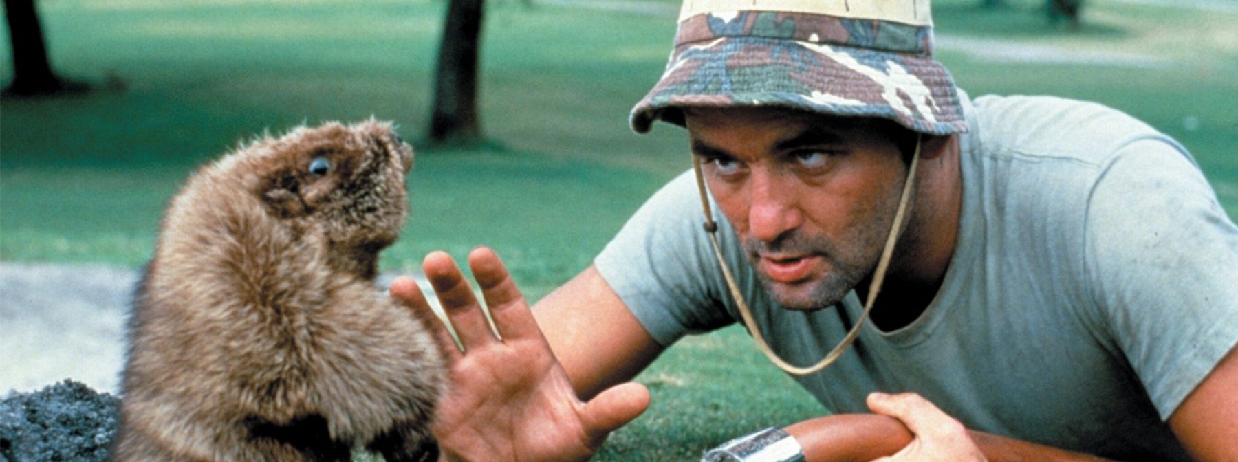 Caddyshack At 40: How A National Lampoon Disaster Became An All Time Great