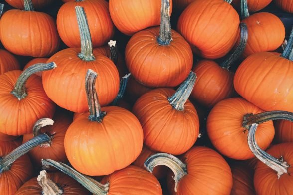 4 Things to Do with Your Pumpkins After Halloween