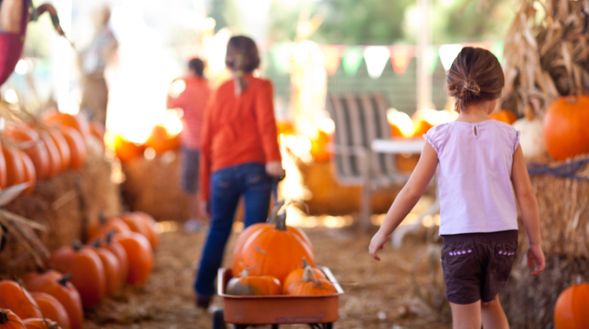cute girls pulling wagon filled with pumpkins at pumpkin patch