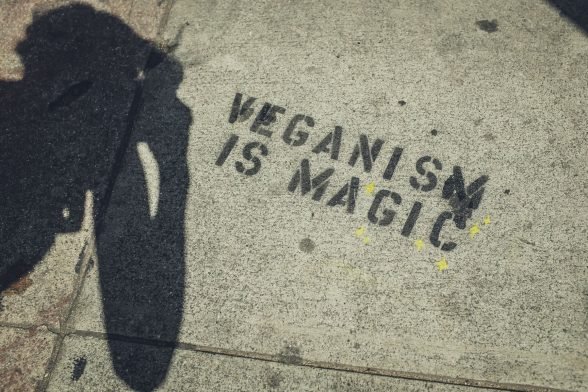 The Complete Guide to Going Vegan