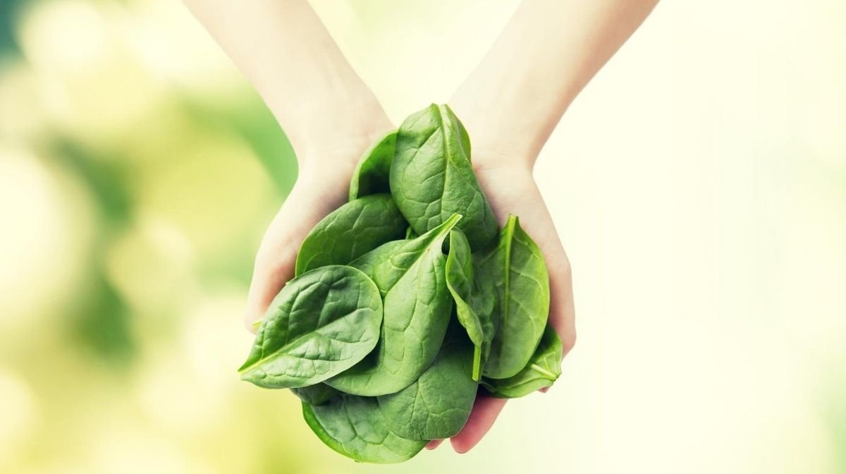 spinach, a natural source of magnesium