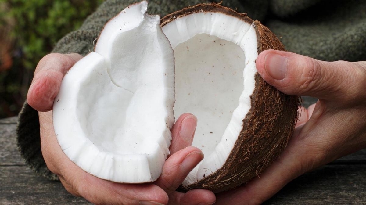 coconut, a natural source of MCTs