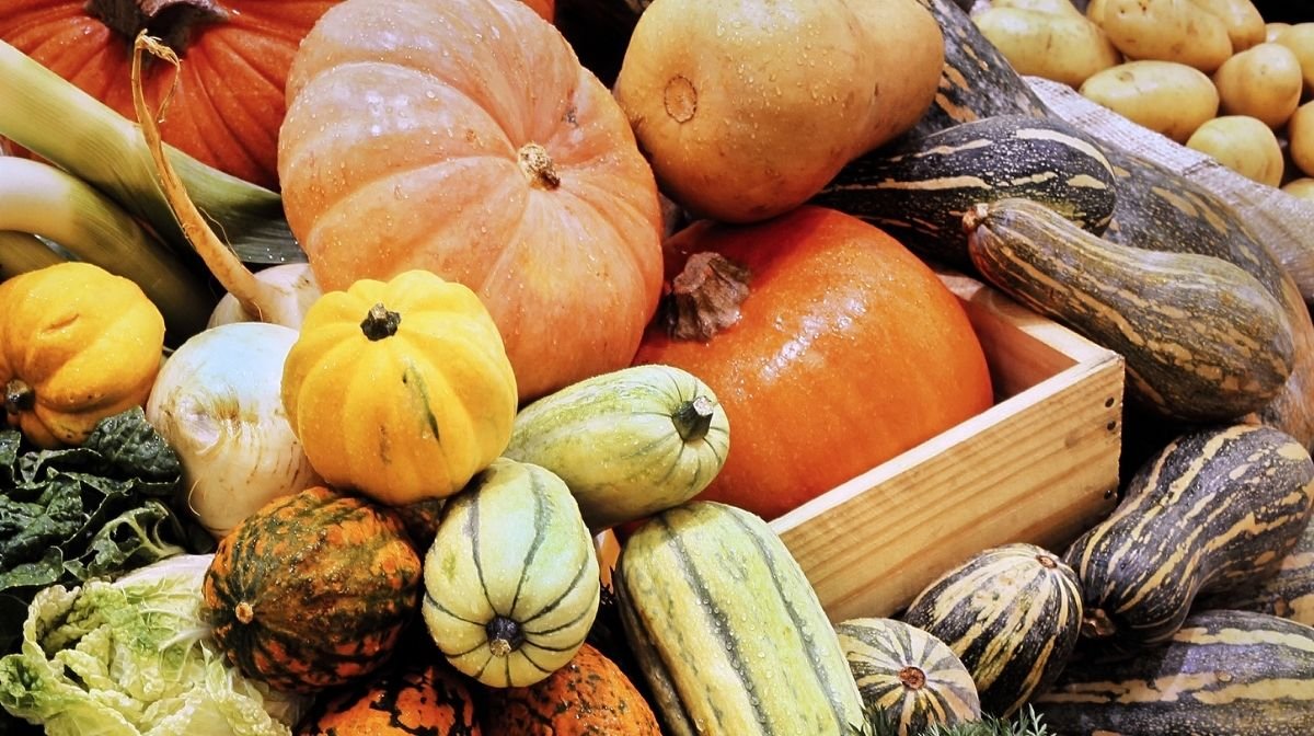 Six Ways To Reconnect With Nature This Autumn Garden of Life UK