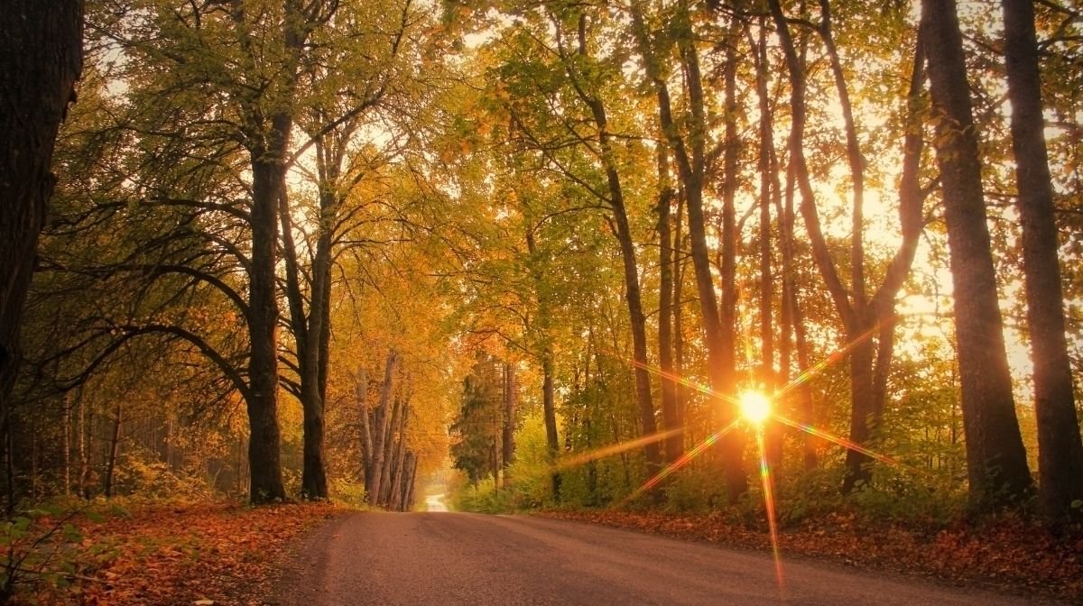 How to Celebrate the Autumn Equinox