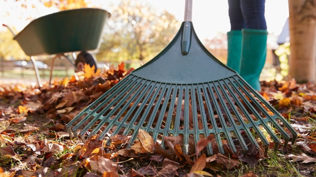 raking autumn leaves for exercise