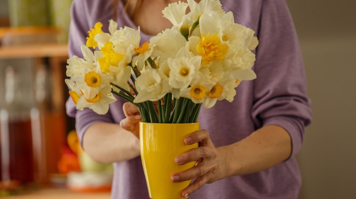 woman arranging daffodils indoors
