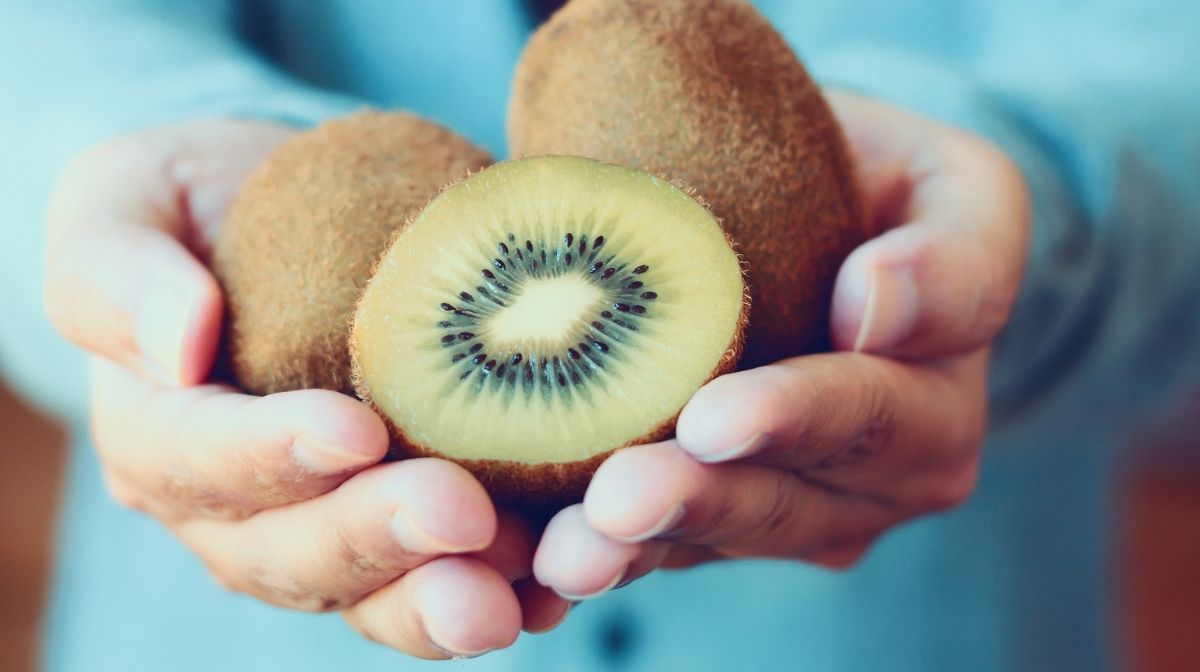 fresh kiwi fruit