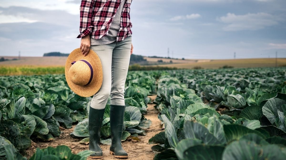 farmer growing organic veg