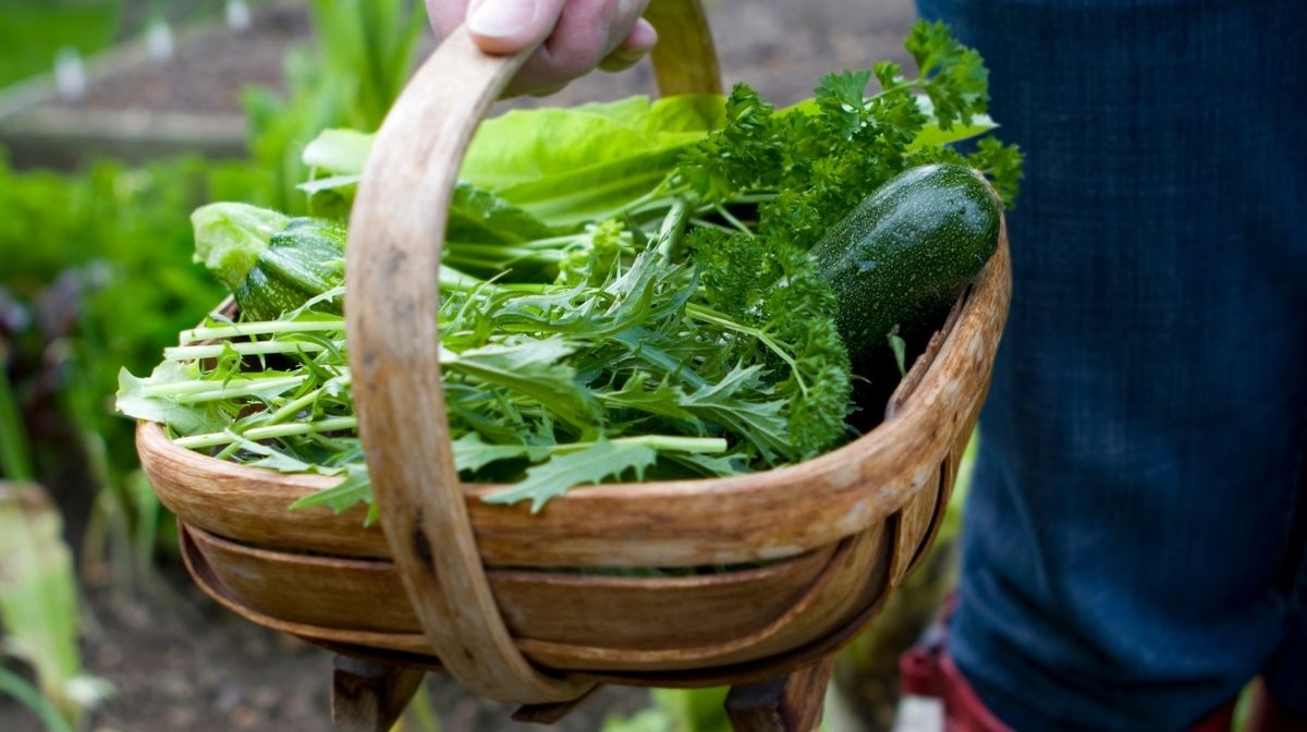 organic vegetables