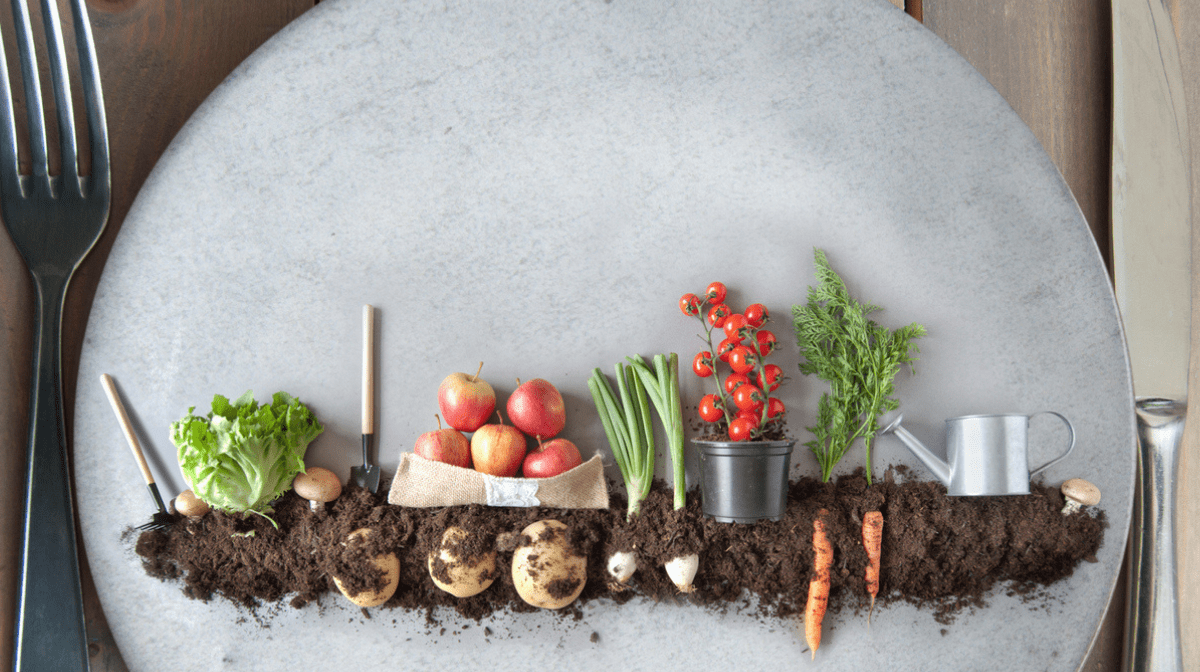 plate with organic vegetables in soil