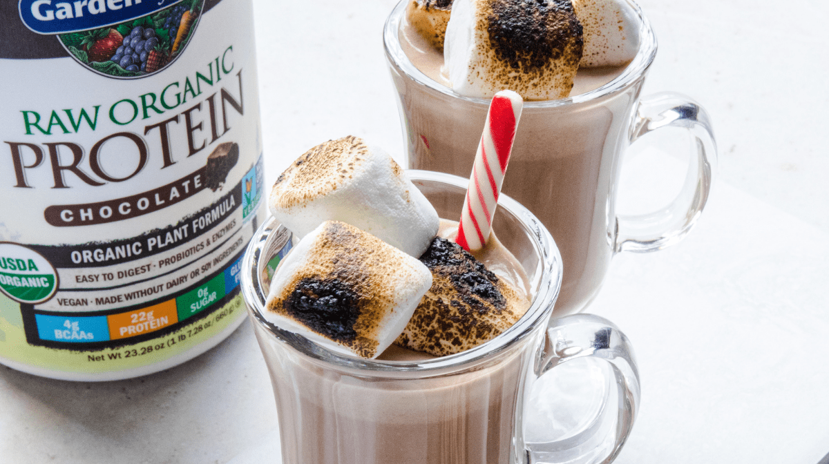 sugar free protein hot chocolate from garden of life