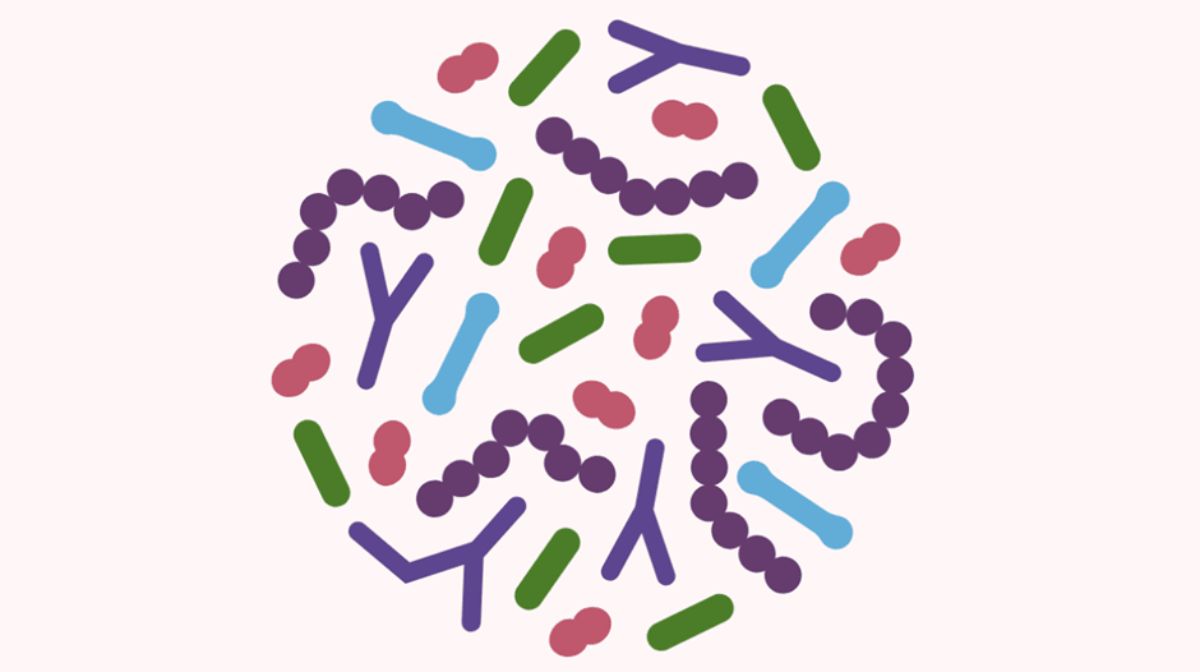 What Is the Skin Microbiome?
