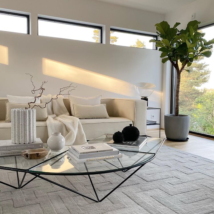 Living room space with a sofa and coffee table 