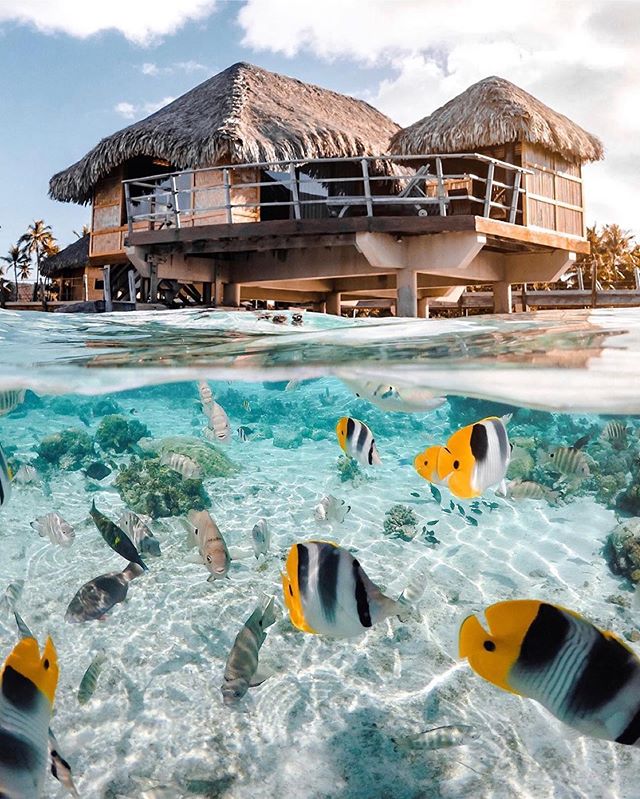 @earthpix