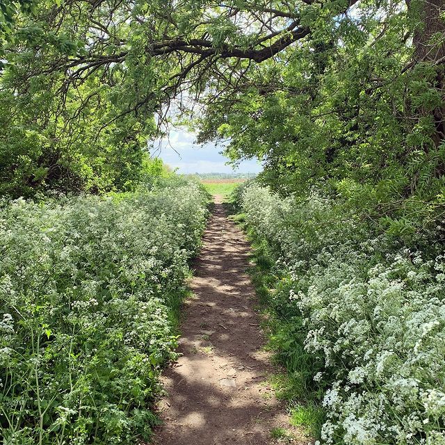 A footpath in the countryside