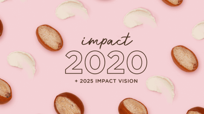 Burt's Bees Impact in 2020 and our 2025 Impact Vision
