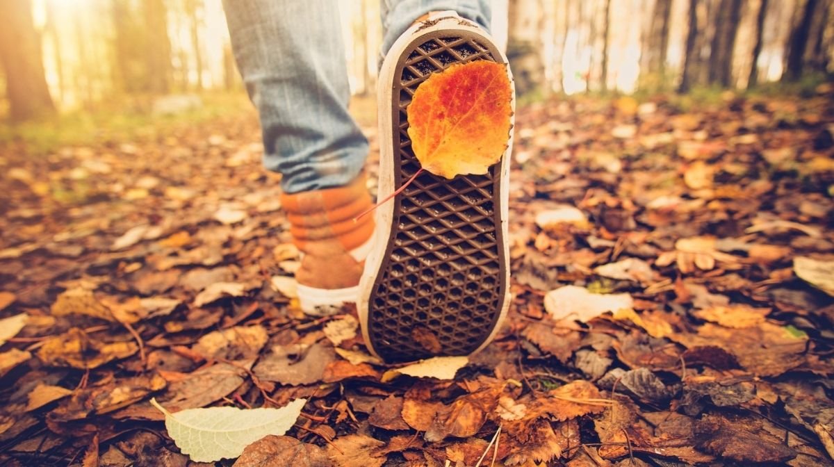 walking through autumn leaves