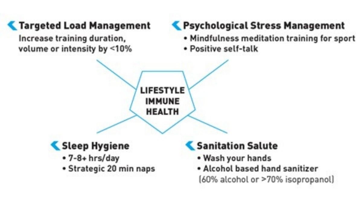 lifestyle immune health infographic