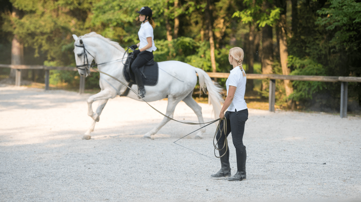 horse riding trainer with white horse and rider cantering