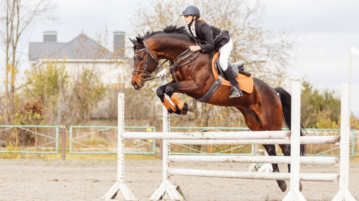 horse and rider jumping over fence