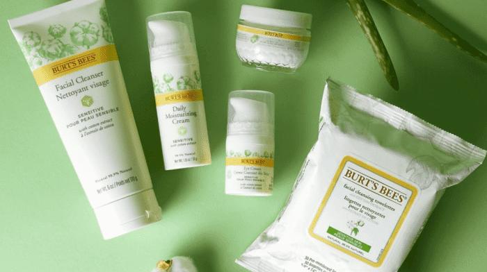 Die Vorteile von Aloe vera für deine Haut