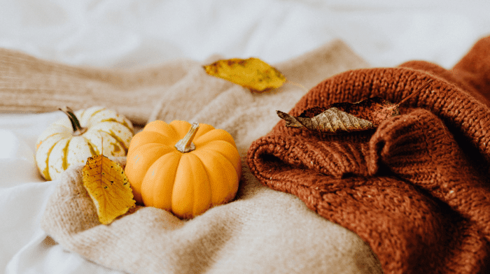 Eco-Friendly Ways to Celebrate Halloween