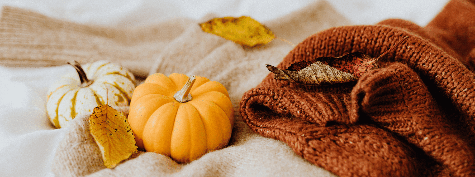 Eco-Friendly Ways to Celebrate Halloween