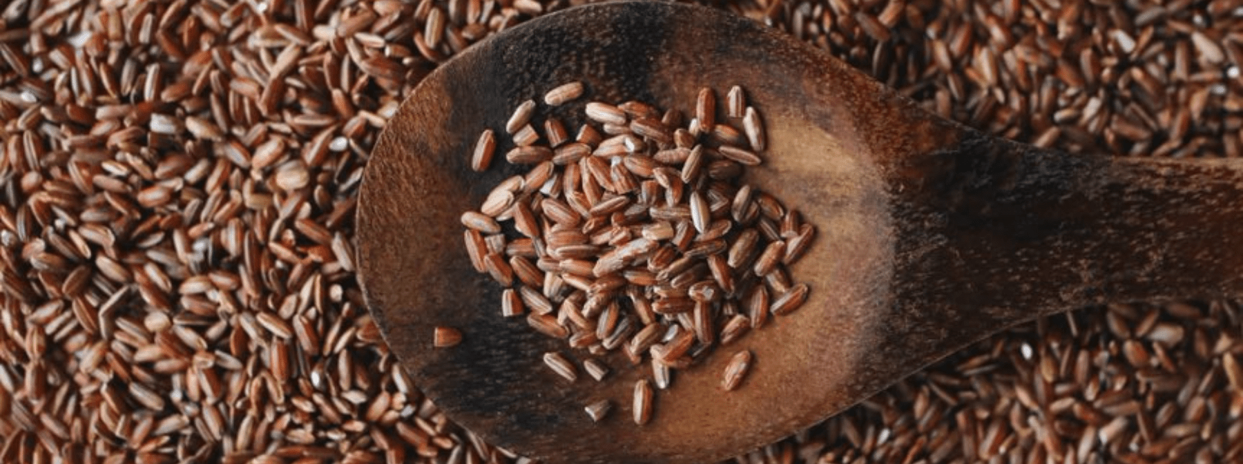 Nutritionist Explains: Is Brown Rice A Good Protein Source? | Facts, Benefits & More