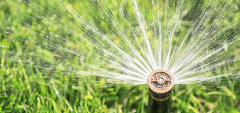 water your lawn