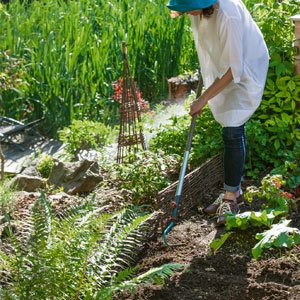 identify your soil type 300x300 image