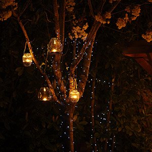 Lighting trees, planting , shrubs & borders