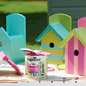 Painted bird boxes