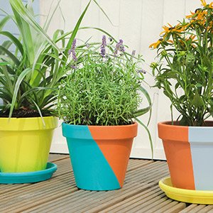 Painting terracotta plant pots