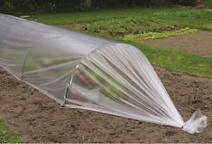 polythene grow rack