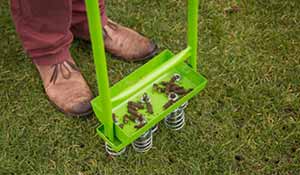 Lawn aeration in winter