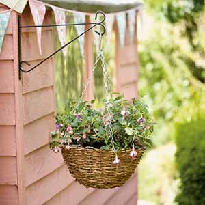 Step 3 - hanging baskets