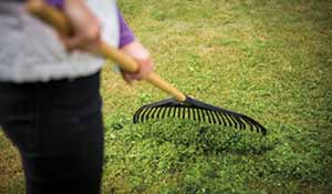 Raking leaves & debris off the lawn