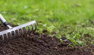 Dress the lawn with a sprinkling of top soil 