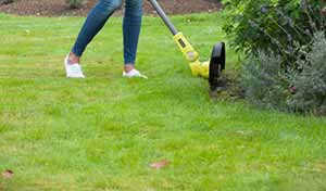 Trim the edges of your lawn